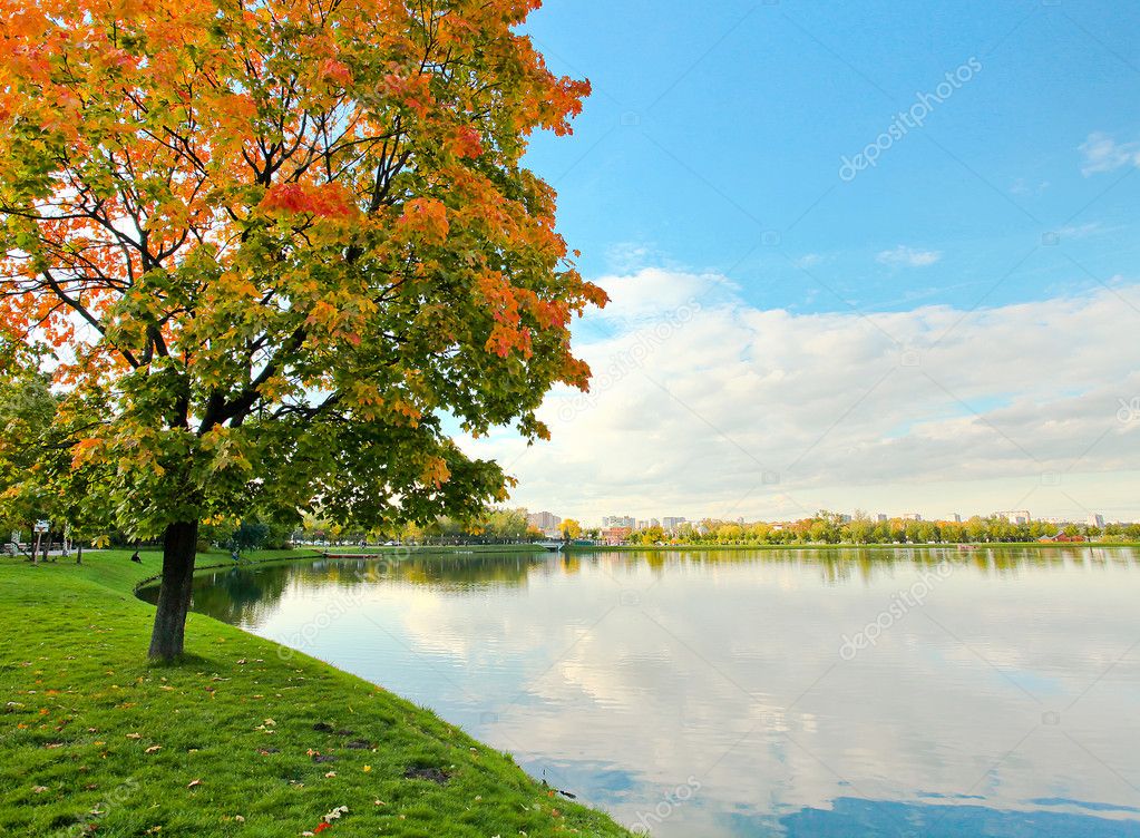 depositphotos_7291752-Colorful-tree-near-the-river.jpg