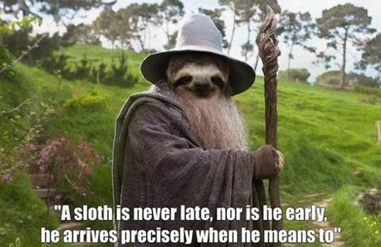 funny-Gandalf-sloth-late1.jpg
