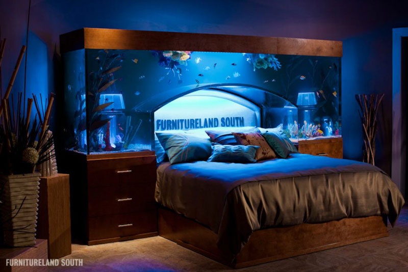 fish-tank-headboard-above-bed-furnitureland-south-4.jpg