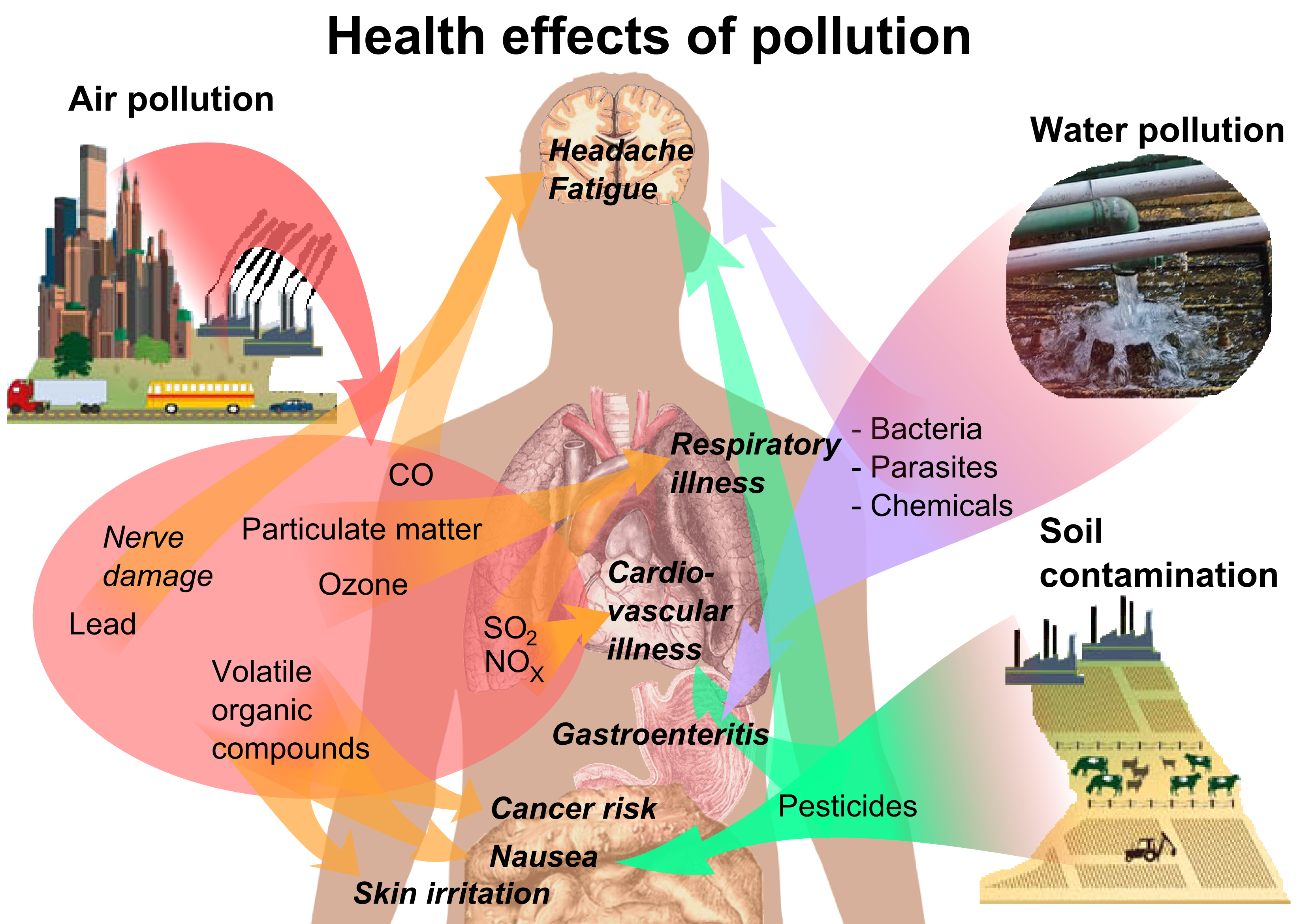 Health_effects_of_pollution.png