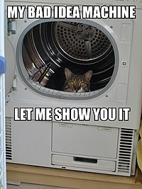 200px-Bad_Idea_Machine_lolcat.jpg