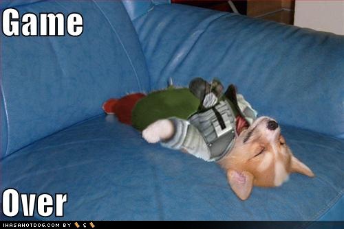 funny-dog-pictures-the-game-is-over.jpg