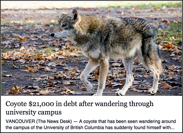 coyote-school-debt.jpg