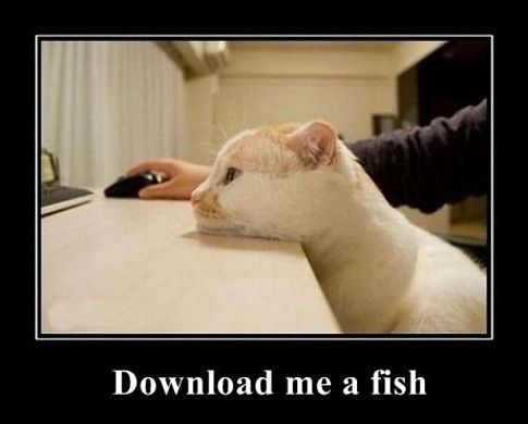 demotivator_download-me-a-fish.jpg