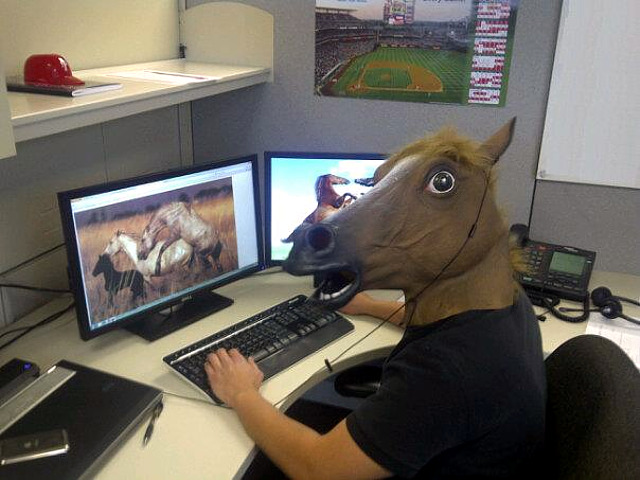 horse-porn-witness.jpg