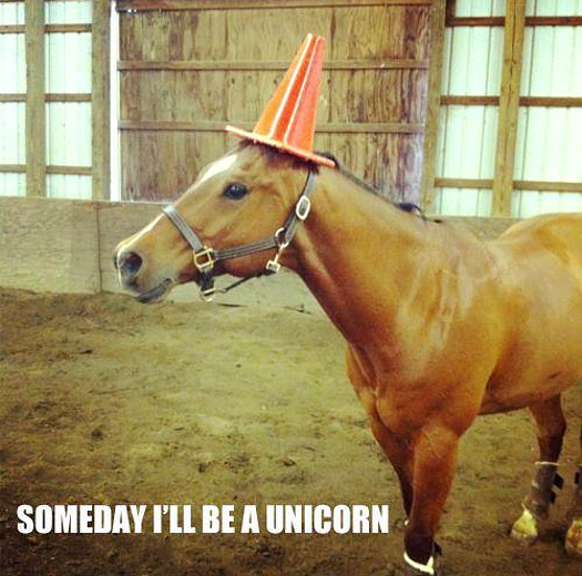 horse-will-be-unicorn.jpg