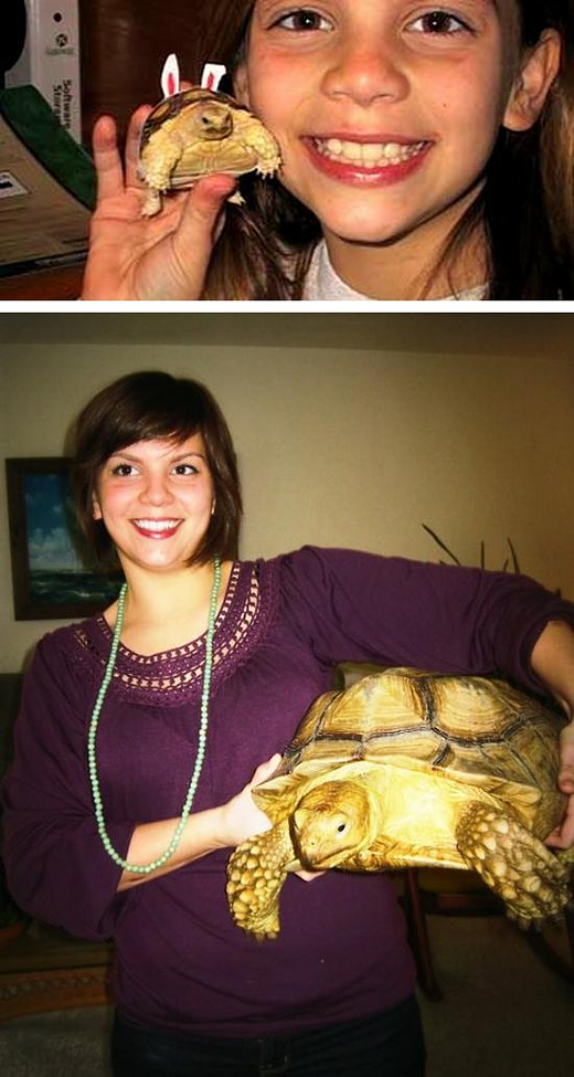 life-with-turtle.jpg