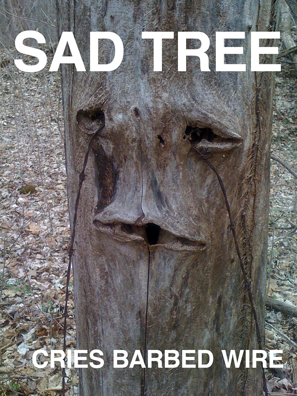 sad-tree.jpg