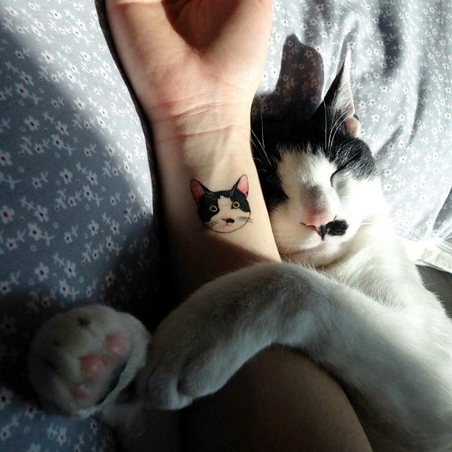 sleeping-cat-tattoo.jpg