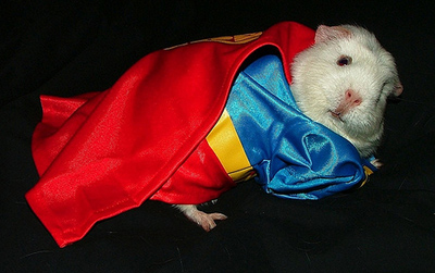 super-hamster.jpg