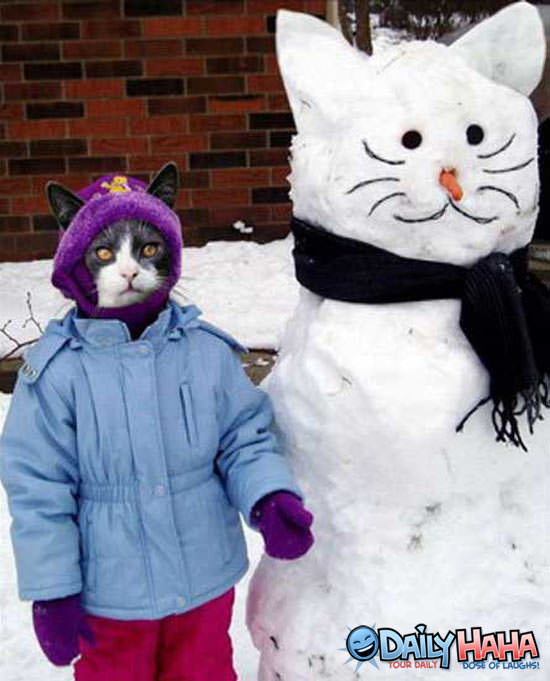 cat_and_snowman.jpg