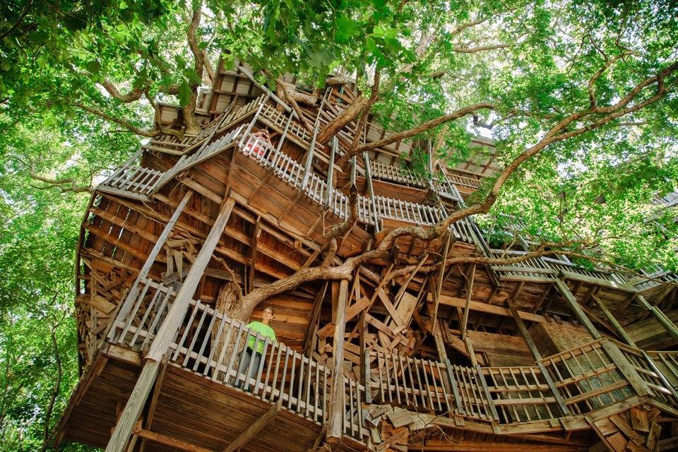 tree-house.jpg