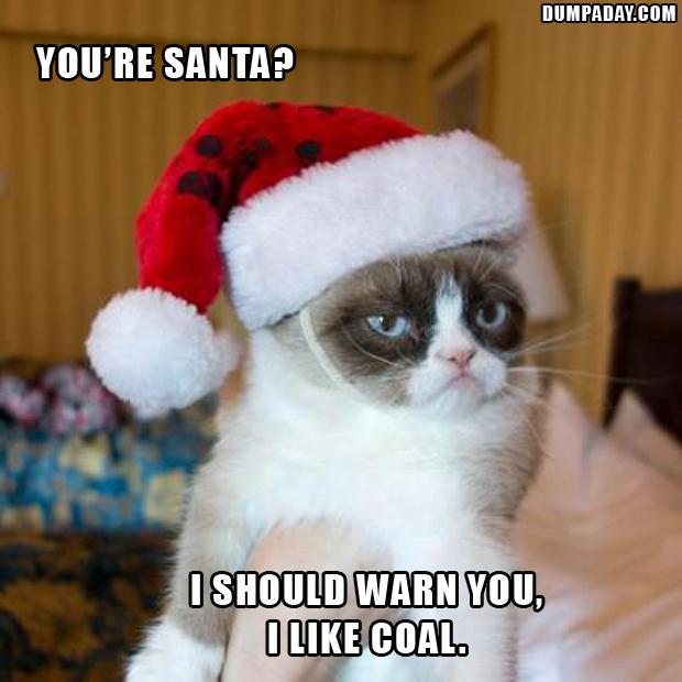 grumpy-cat-sitting-on-santas-lap-i-like-coal-funny-grumpy-cat.jpg