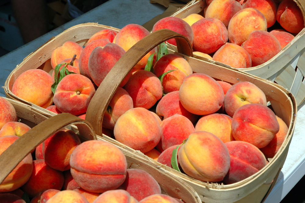 peaches-in-baskets.jpg