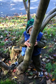 elio-behind-tree-tb.jpg