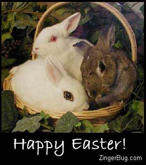 happy_easter_bunnies_in_basket.JPG