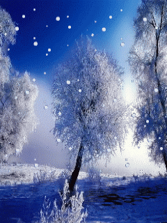 animated-snow-falling-on-trees-in-woods.gif