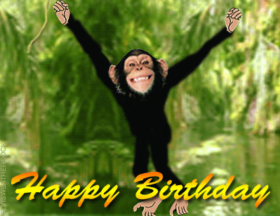 monkeyswing-birthday-blank%20(1).gif