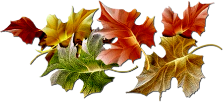Autumn-PNG-HD.png