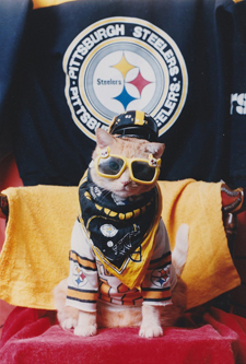 steelers%20cat%20small.jpg