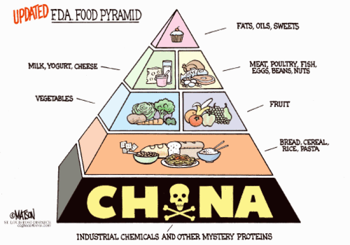 updated_fda_food_pyramid.gif