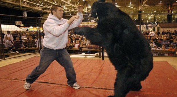 Darwin-Awards-Best-Of-Dumb-Ways-To-Die-bear-wrestling-620x339.jpg