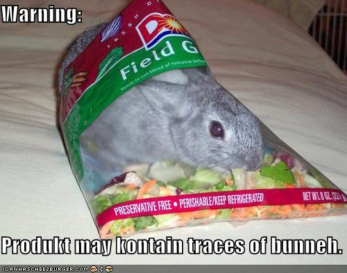 funny-pictures-your-lettuce-may-contain-traces-of-bunny.jpg