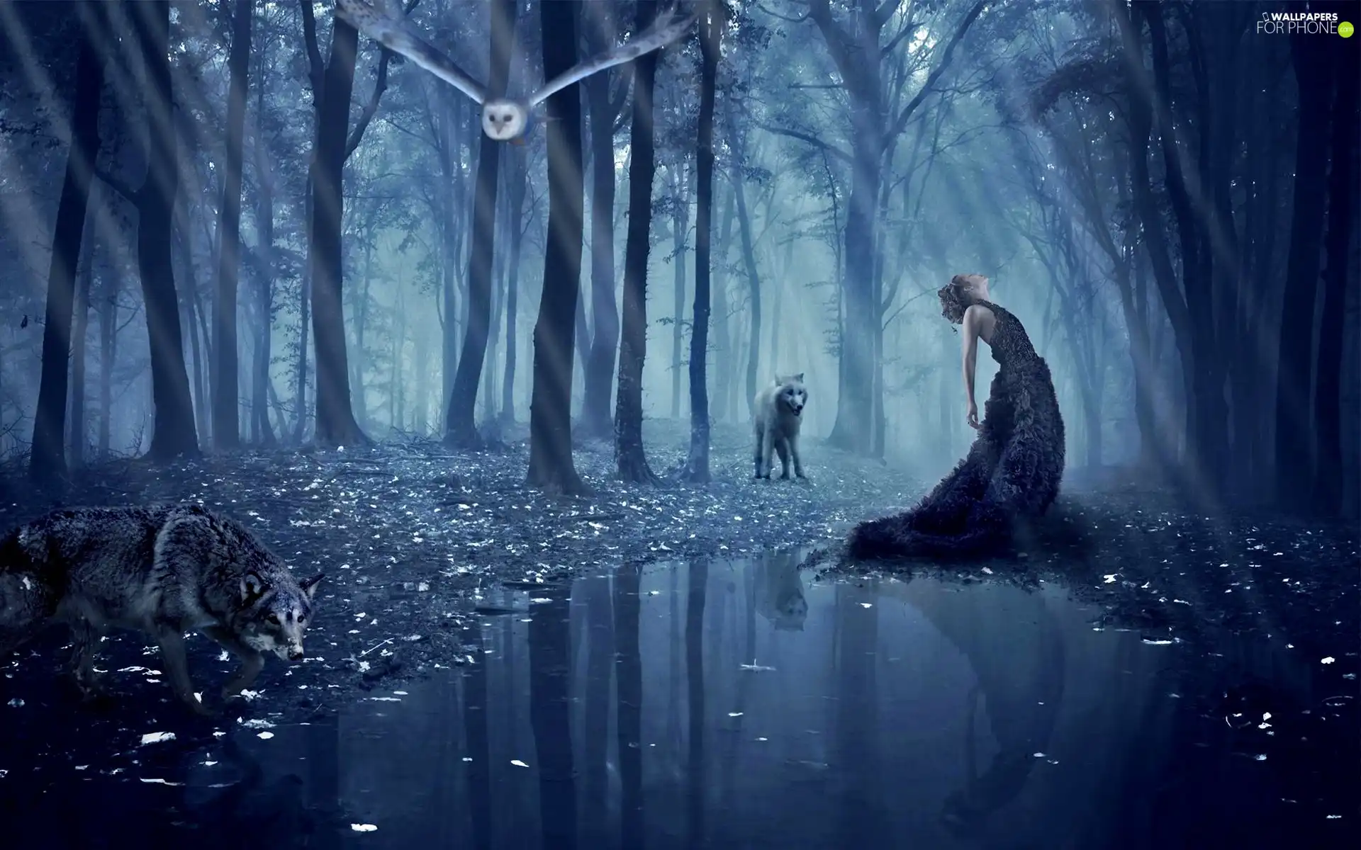 owl-water-viewes-reflection-women-wolves-trees.jpg