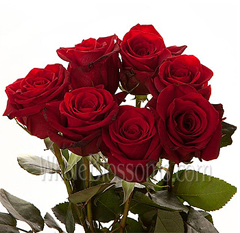 wholesale-red-roses.jpg