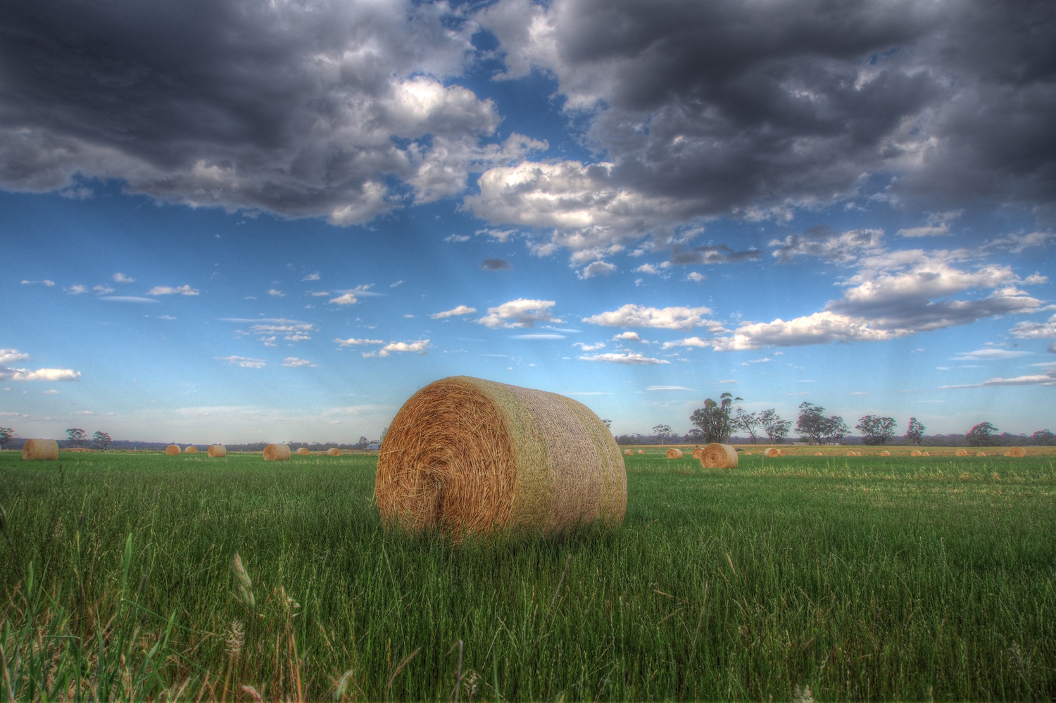 hay-bales-2-s.jpg