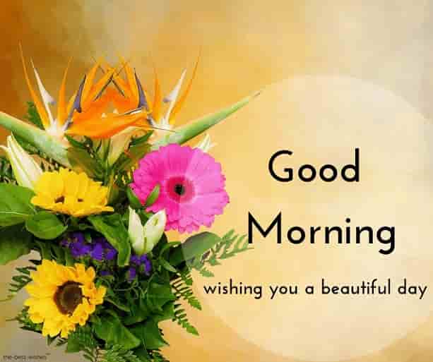 beautiful-good-morning-ecard-with-rose-flower.jpg