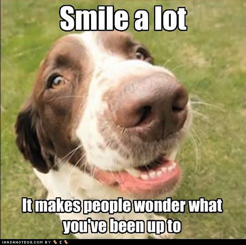 funny-dog-pictures-smile-wonder.jpg