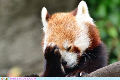 fox-facepalm.jpg