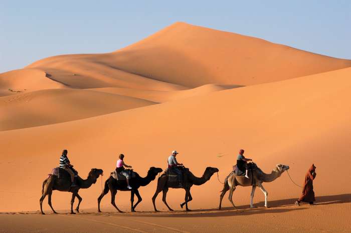 camel-caravan-sahara-morocco.jpg