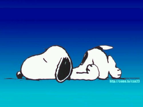 wpid-sleeping-snoopy.jpg