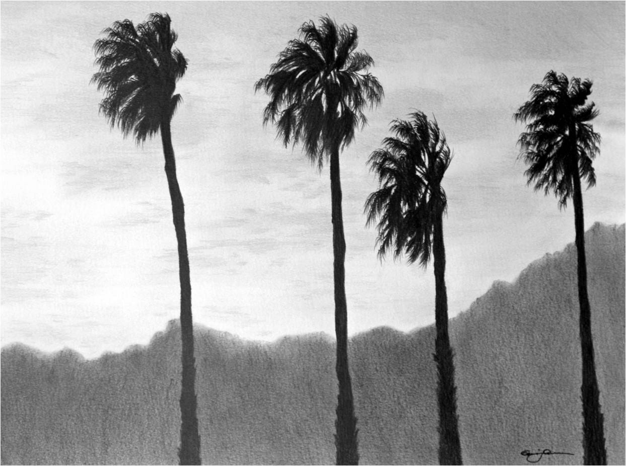 palm-trees.jpg