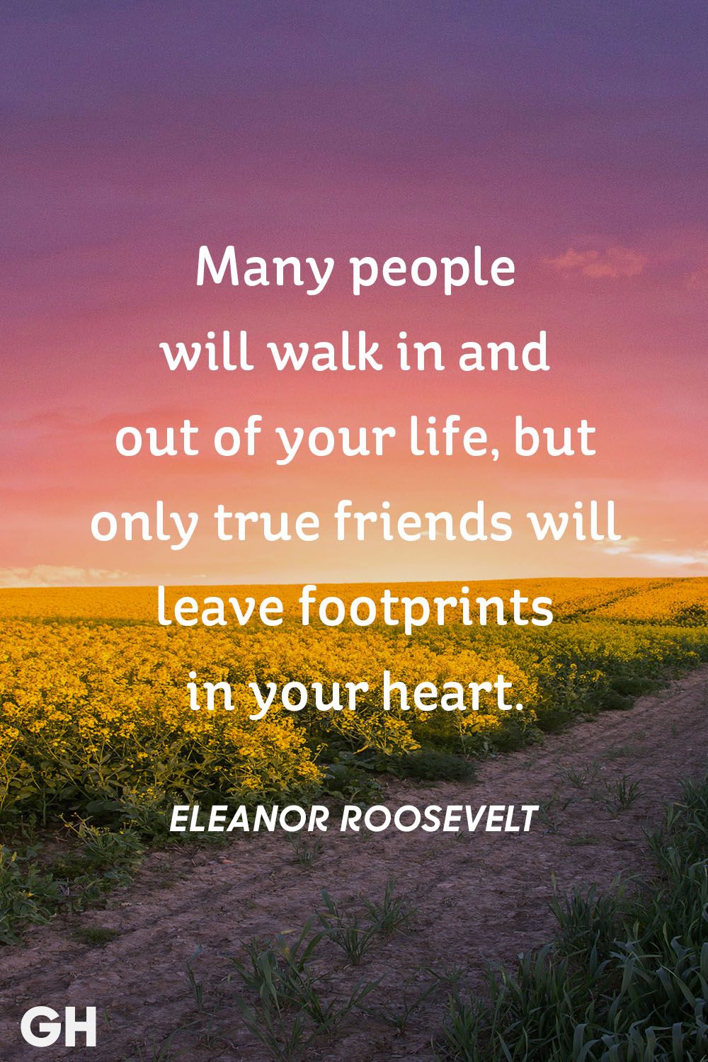 eleanor-roosevelt-friendship-quote.jpg