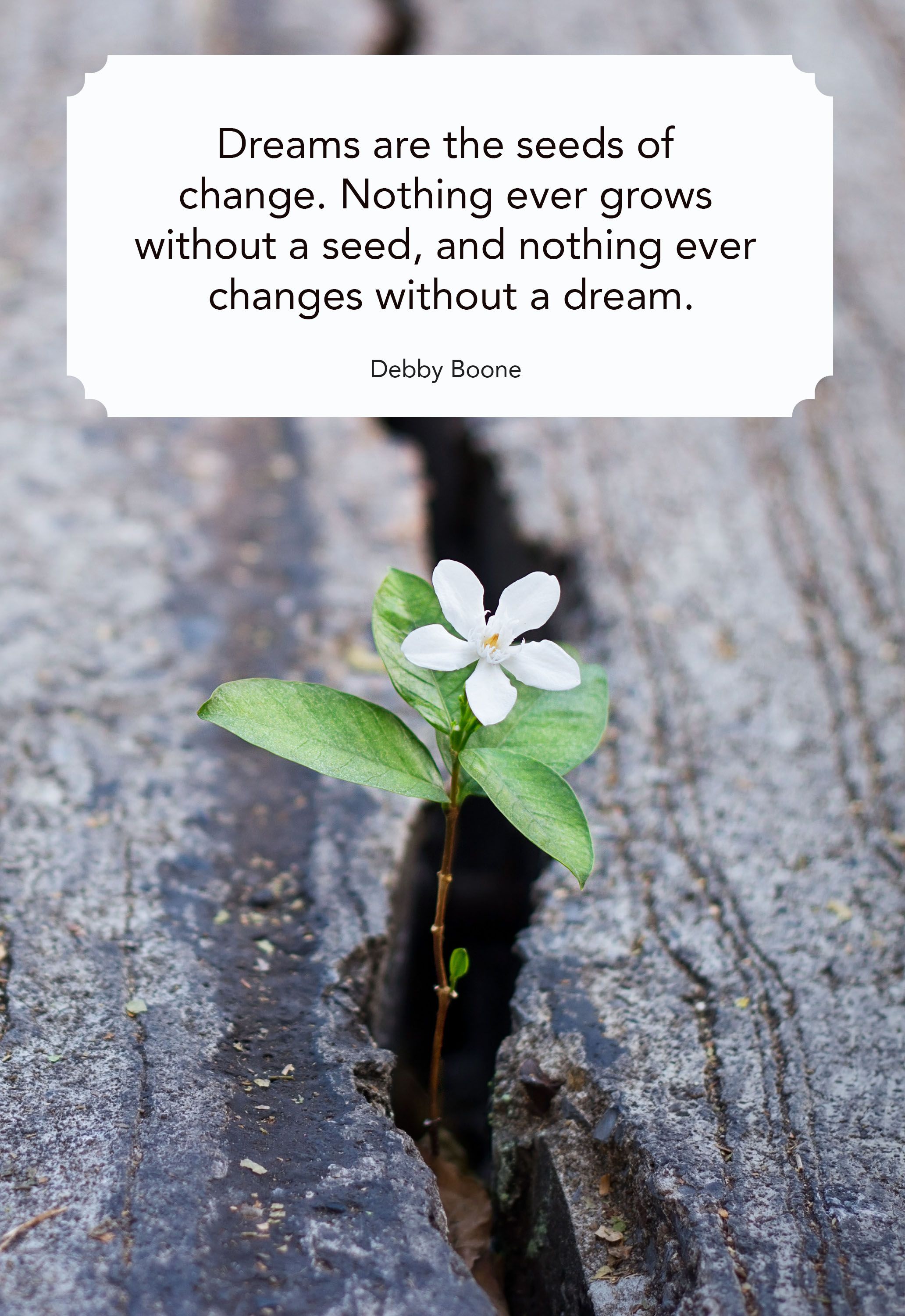 life-changes-quotes-seeds-of-change-1543619244.jpg