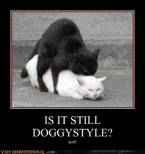 is-it-still-doggystyle