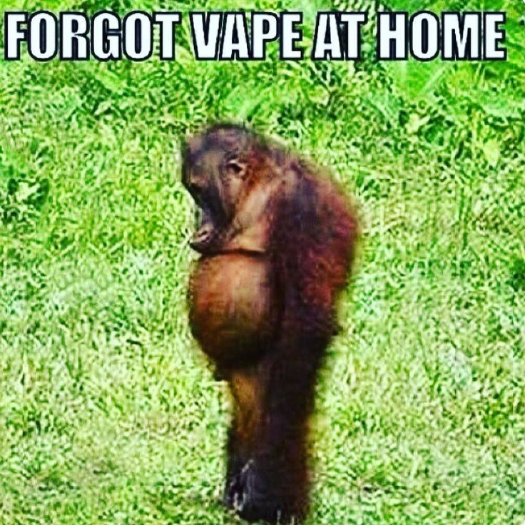 68222851d708c35b39f976be2f923986--vaping-funny-pics.jpg