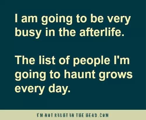 d5c3c1e918b6ae16d093384c657620b9--afterlife-quotes-funny-pics.jpg