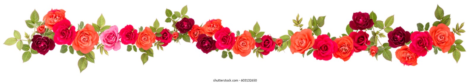 colorful-rose-flower-bouquet-border-260nw-603132650.jpg