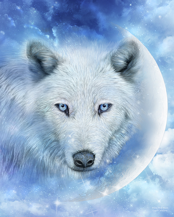 white-wolf-moon-carol-cavalaris.jpg