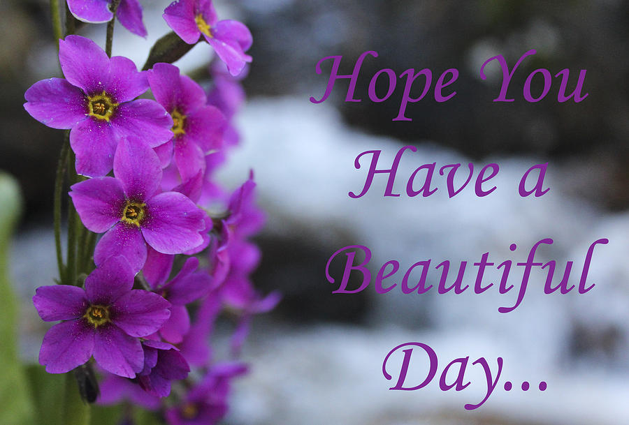 hope-you-have-a-beautiful-day-james-la-mere.jpg