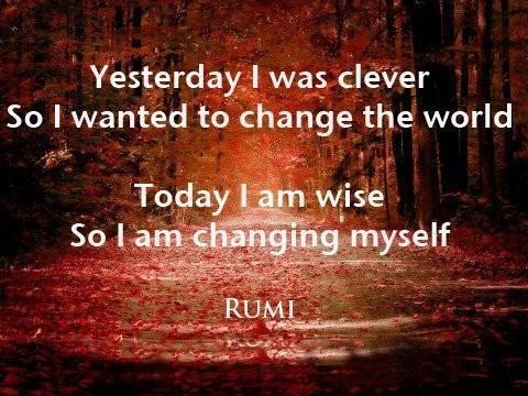 yesterday-i-was-clever-so-i-wanted-to-change-the-world-today-i-am-wise-so-i-am-changing-myself-quote-1.jpg