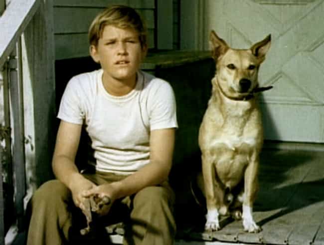 young-kurt-russell-in-white-t-shirt-with-dog-photo-u1