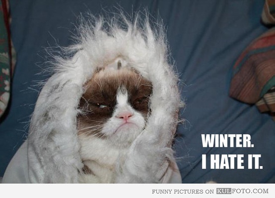 grumpy-cat-hates-winter.jpg