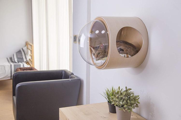 bubble-window-wall-mounted-cat-bed-2445.jpg