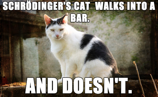 schrodingers-cat-walks-into-a-bar-meme.jpg