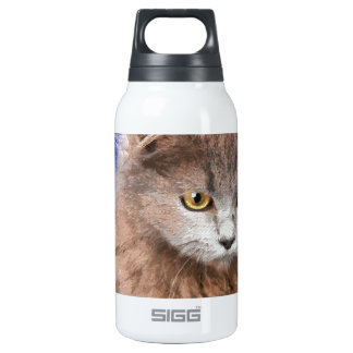 kot_insulated_water_bottle-r4e16d4562b7e4f73b9d9bf5f7b0068fe_zlunb_324.jpg